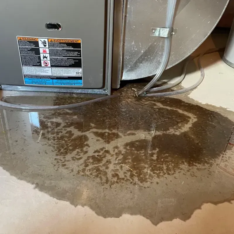 Appliance Leak Cleanup in Morehead City, NC